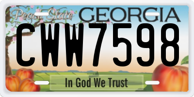 GA license plate CWW7598