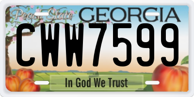 GA license plate CWW7599