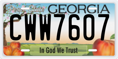 GA license plate CWW7607