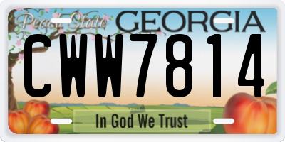 GA license plate CWW7814