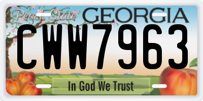 GA license plate CWW7963