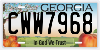 GA license plate CWW7968