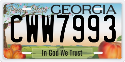 GA license plate CWW7993