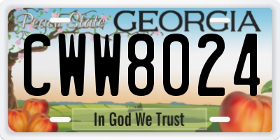 GA license plate CWW8024