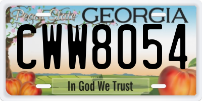 GA license plate CWW8054