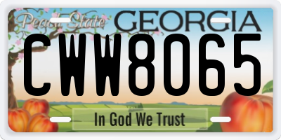 GA license plate CWW8065