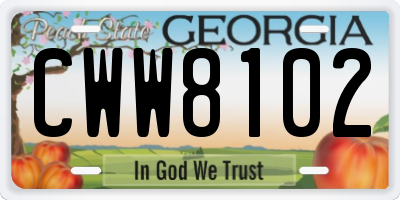 GA license plate CWW8102