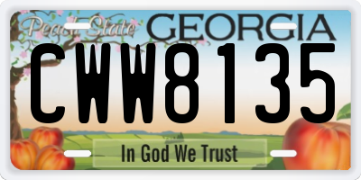 GA license plate CWW8135