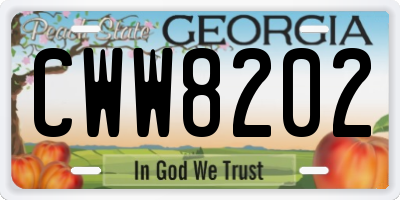GA license plate CWW8202