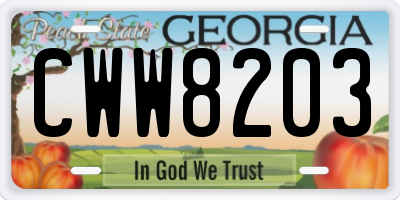 GA license plate CWW8203
