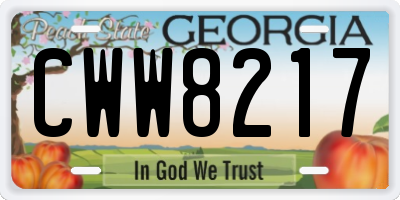 GA license plate CWW8217