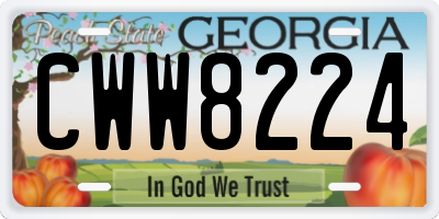 GA license plate CWW8224