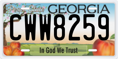 GA license plate CWW8259