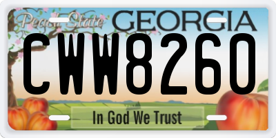 GA license plate CWW8260
