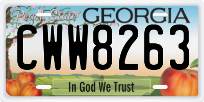 GA license plate CWW8263