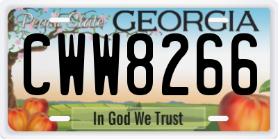 GA license plate CWW8266