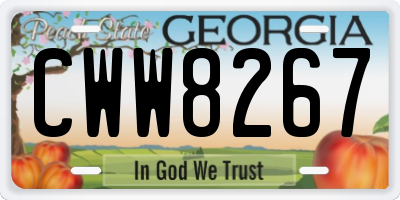 GA license plate CWW8267