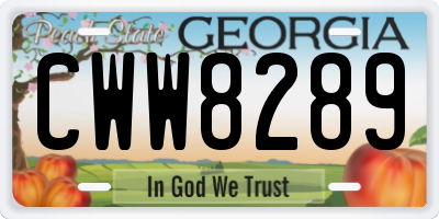 GA license plate CWW8289