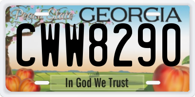 GA license plate CWW8290