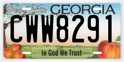 GA license plate CWW8291