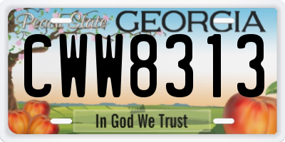 GA license plate CWW8313