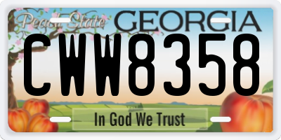 GA license plate CWW8358