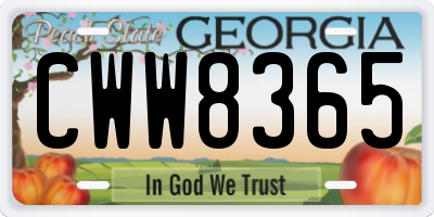 GA license plate CWW8365