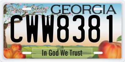 GA license plate CWW8381