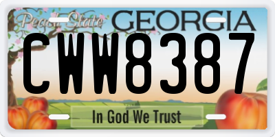 GA license plate CWW8387