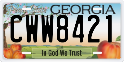 GA license plate CWW8421