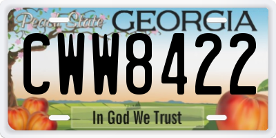 GA license plate CWW8422