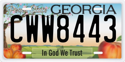 GA license plate CWW8443