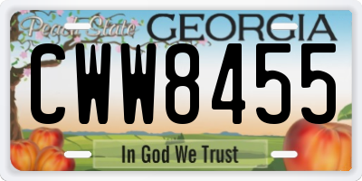 GA license plate CWW8455