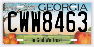 GA license plate CWW8463
