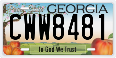 GA license plate CWW8481