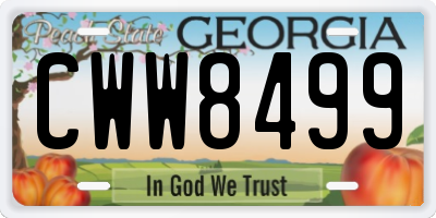 GA license plate CWW8499