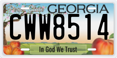 GA license plate CWW8514