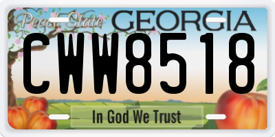 GA license plate CWW8518