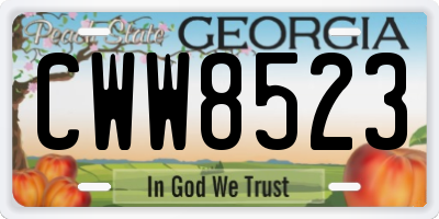 GA license plate CWW8523