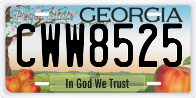 GA license plate CWW8525