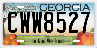 GA license plate CWW8527
