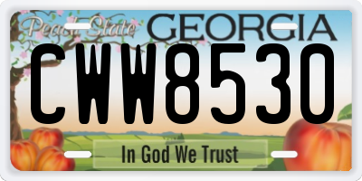 GA license plate CWW8530
