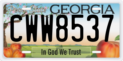 GA license plate CWW8537