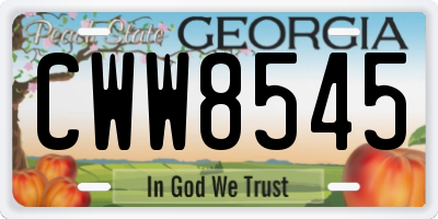 GA license plate CWW8545