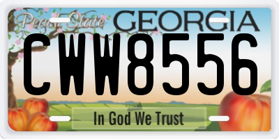 GA license plate CWW8556