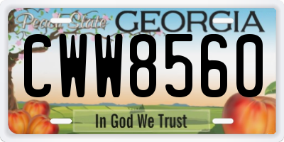 GA license plate CWW8560
