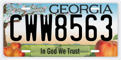 GA license plate CWW8563