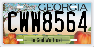 GA license plate CWW8564