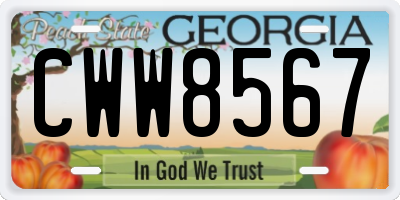 GA license plate CWW8567