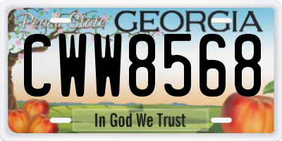 GA license plate CWW8568